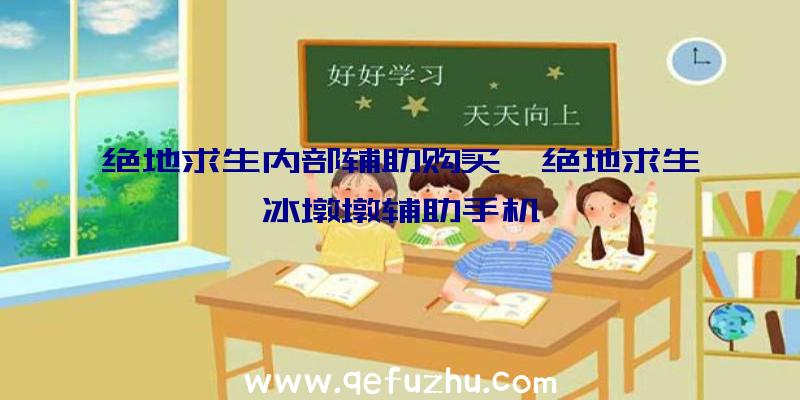 绝地求生内部辅助购买、绝地求生冰墩墩辅助手机