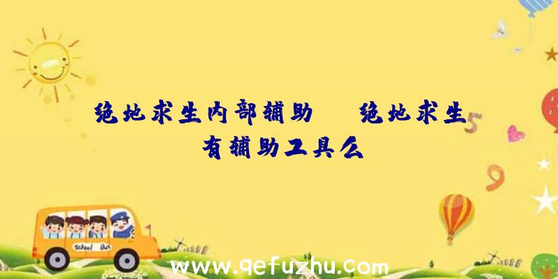 绝地求生内部辅助ba、绝地求生有辅助工具么