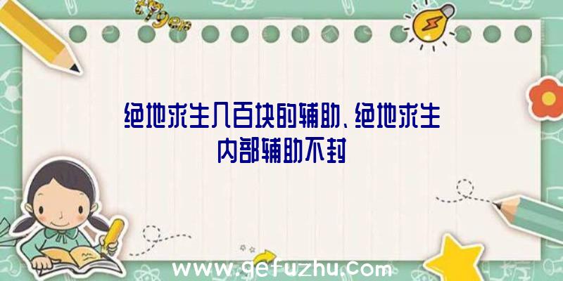 绝地求生几百块的辅助、绝地求生内部辅助不封