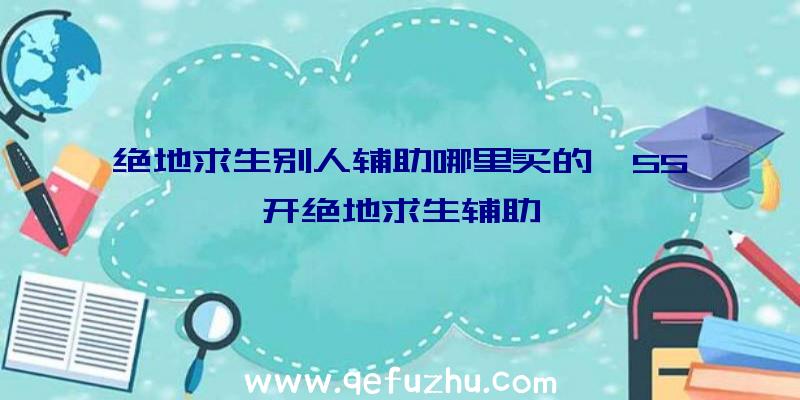 绝地求生别人辅助哪里买的、55开绝地求生辅助