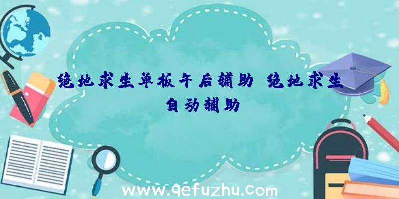 绝地求生单板午后辅助、绝地求生自动辅助