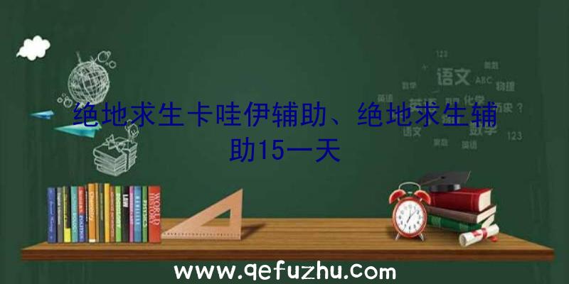 绝地求生卡哇伊辅助、绝地求生辅助15一天