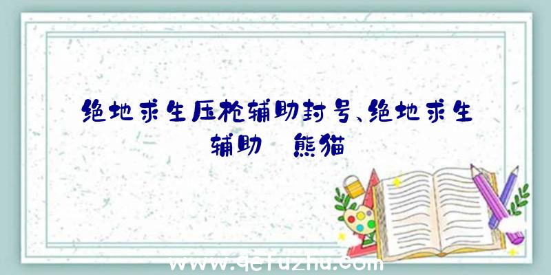 绝地求生压枪辅助封号、绝地求生辅助