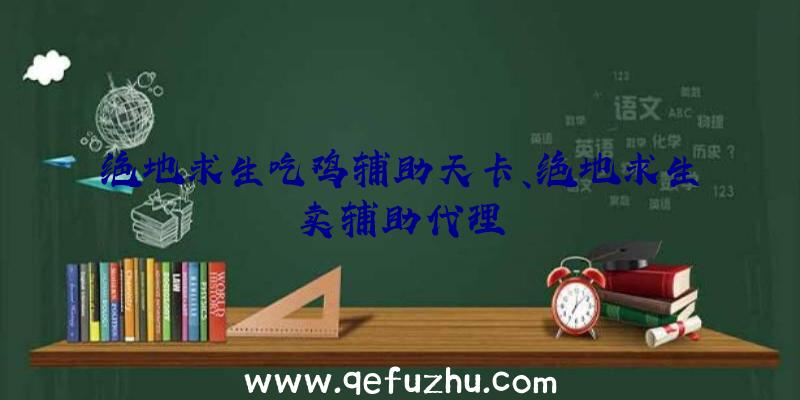 绝地求生吃鸡辅助天卡、绝地求生卖辅助代理