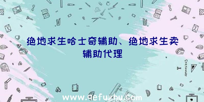 绝地求生哈士奇辅助、绝地求生卖辅助代理