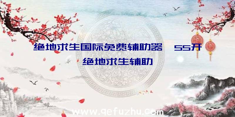 绝地求生国际免费辅助器、55开绝地求生辅助