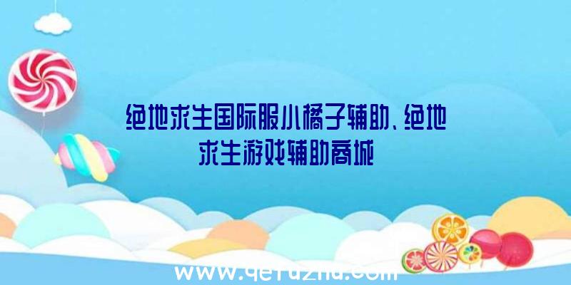 绝地求生国际服小橘子辅助、绝地求生游戏辅助商城