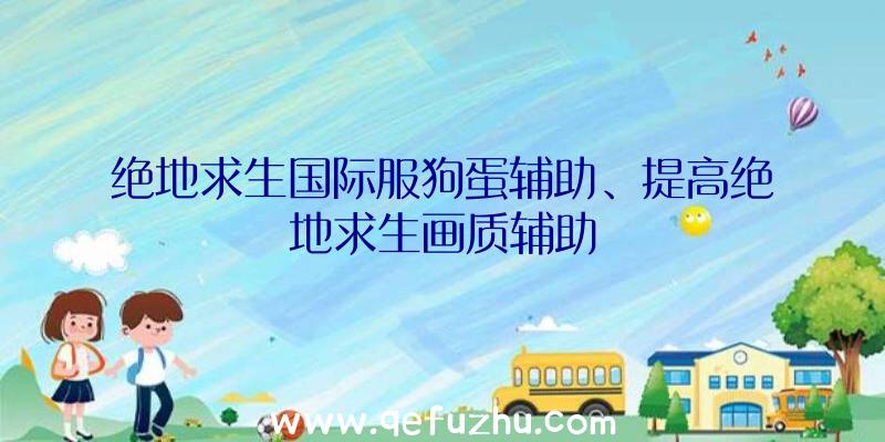 绝地求生国际服狗蛋辅助、提高绝地求生画质辅助