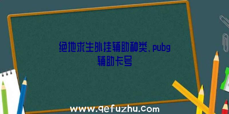 绝地求生外挂辅助种类、pubg辅助卡号