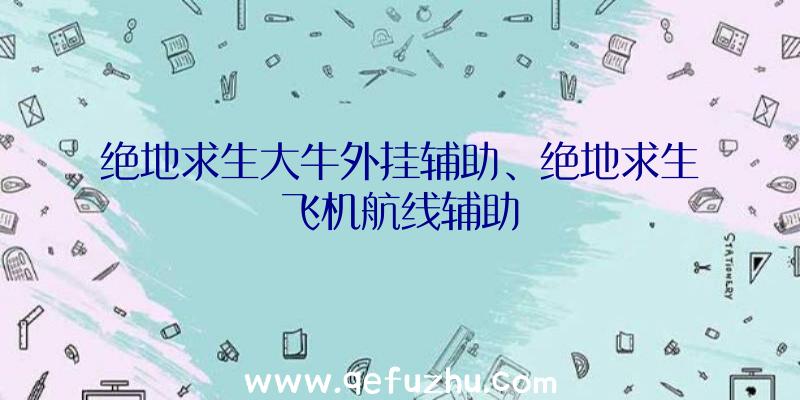 绝地求生大牛外挂辅助、绝地求生飞机航线辅助