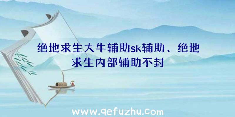 绝地求生大牛辅助sk辅助、绝地求生内部辅助不封