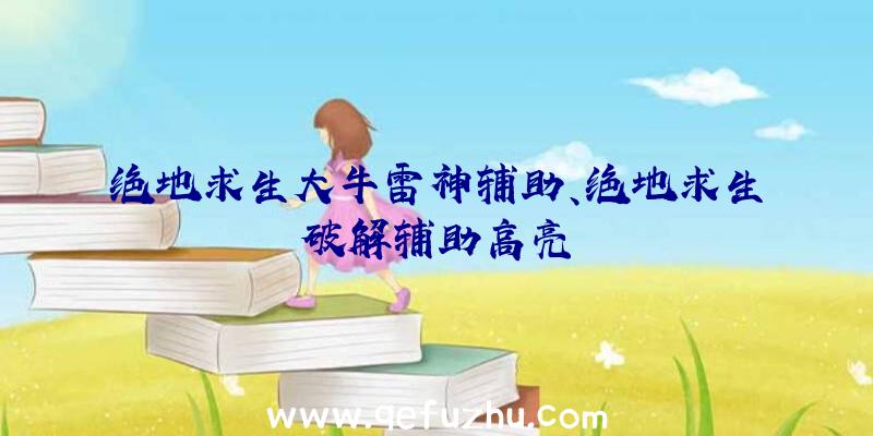 绝地求生大牛雷神辅助、绝地求生破解辅助高亮