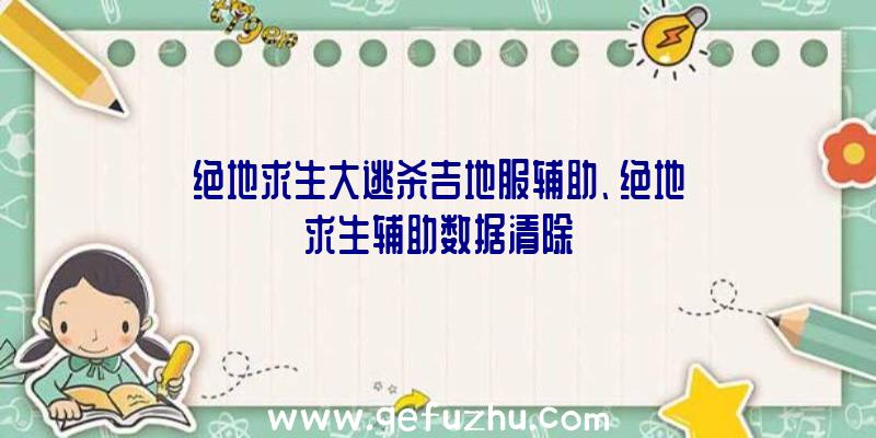 绝地求生大逃杀吉地服辅助、绝地求生辅助数据清除