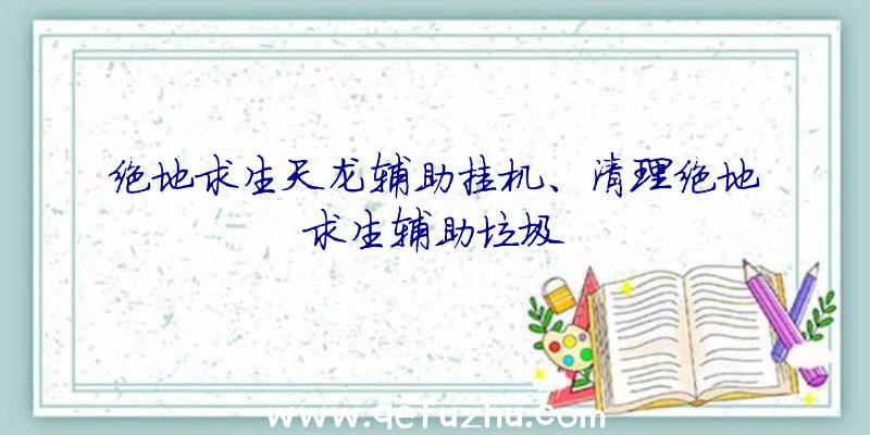 绝地求生天龙辅助挂机、清理绝地求生辅助垃圾