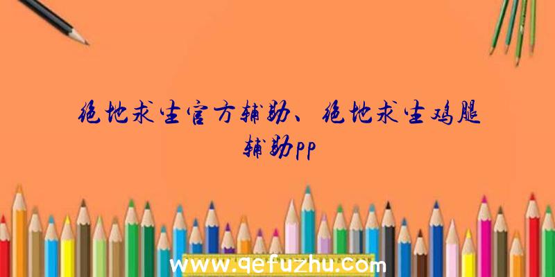 绝地求生官方辅助、绝地求生鸡腿辅助pp