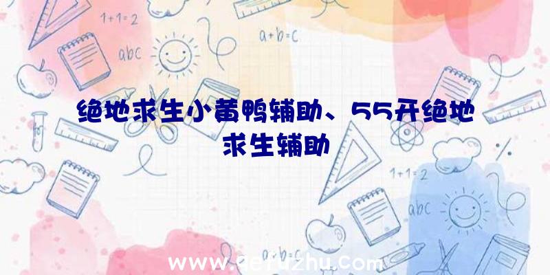 绝地求生小黄鸭辅助、55开绝地求生辅助