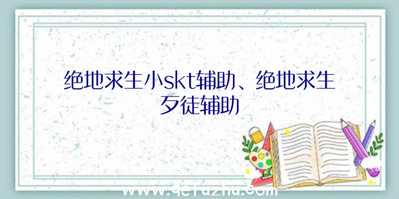 绝地求生小skt辅助、绝地求生歹徒辅助