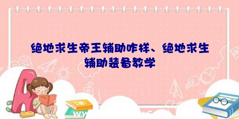 绝地求生帝王辅助咋样、绝地求生辅助装备教学