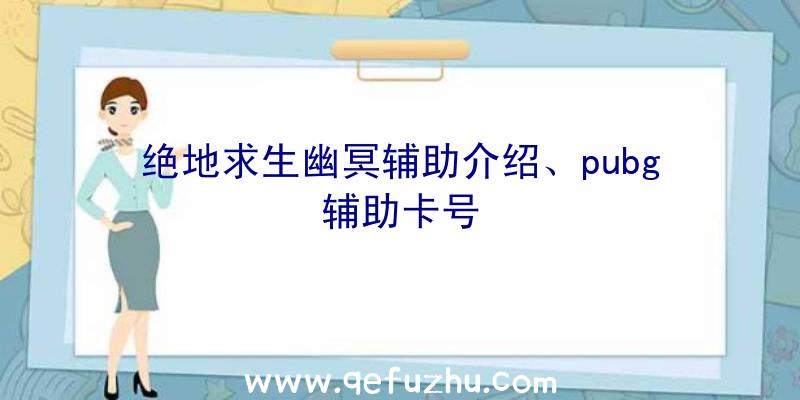 绝地求生幽冥辅助介绍、pubg辅助卡号