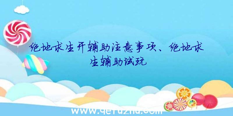 绝地求生开辅助注意事项、绝地求生辅助试玩