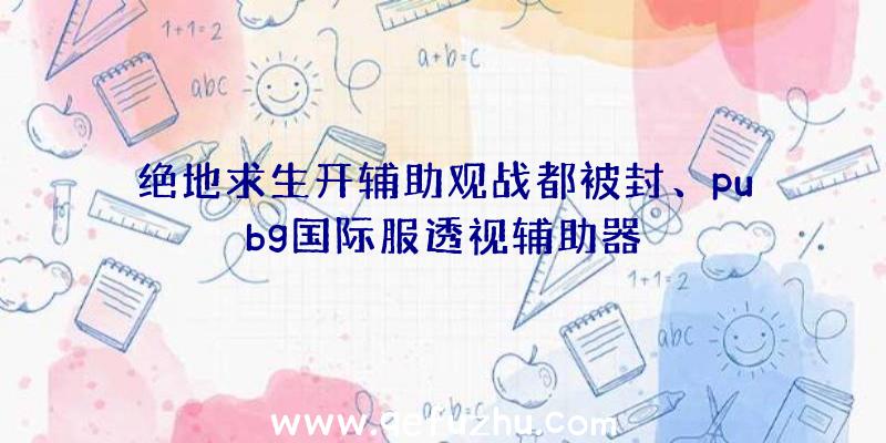 绝地求生开辅助观战都被封、pubg国际服透视辅助器