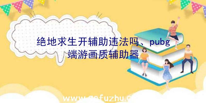 绝地求生开辅助违法吗、pubg端游画质辅助器