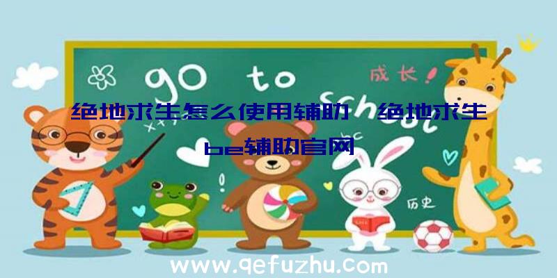 绝地求生怎么使用辅助、绝地求生be辅助官网