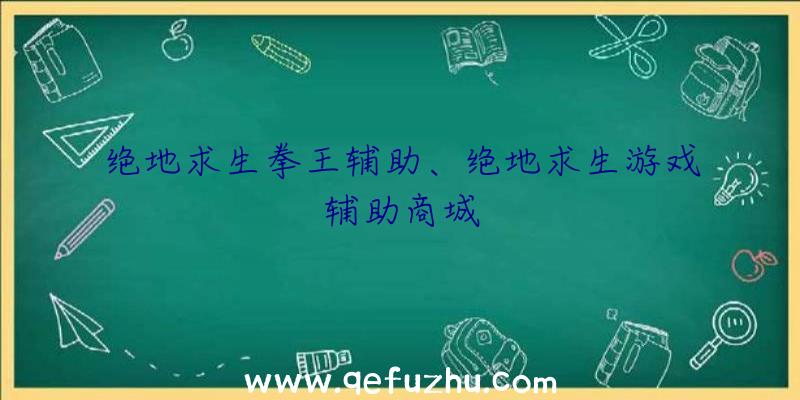 绝地求生拳王辅助、绝地求生游戏辅助商城