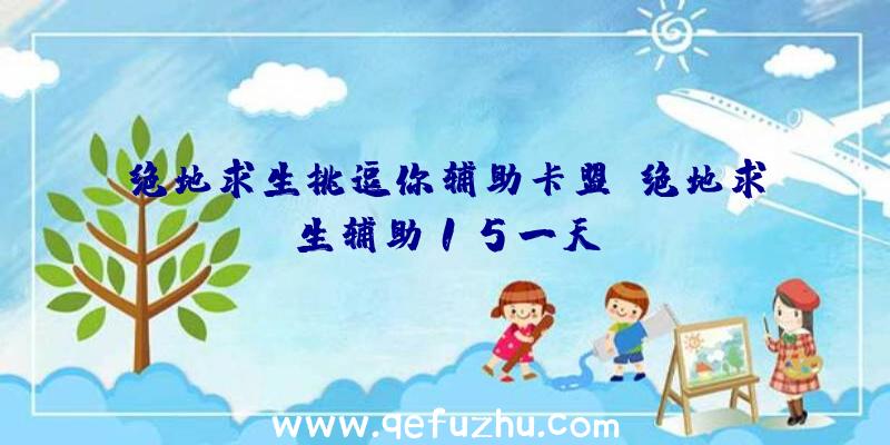 绝地求生挑逗你辅助卡盟、绝地求生辅助15一天