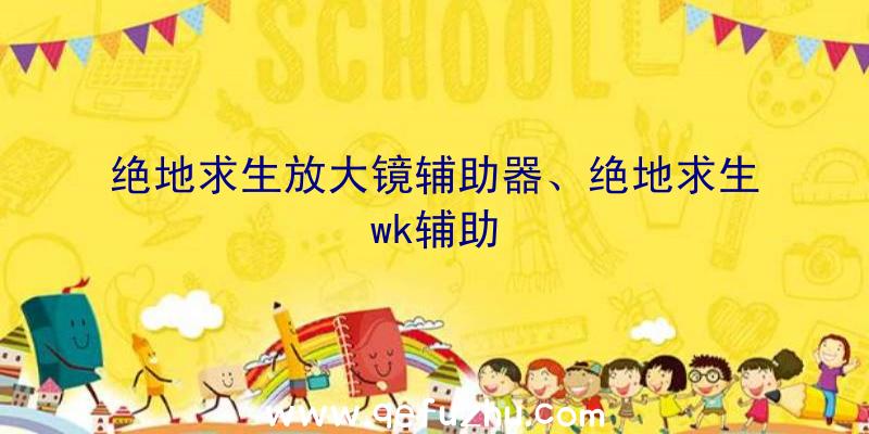 绝地求生放大镜辅助器、绝地求生wk辅助