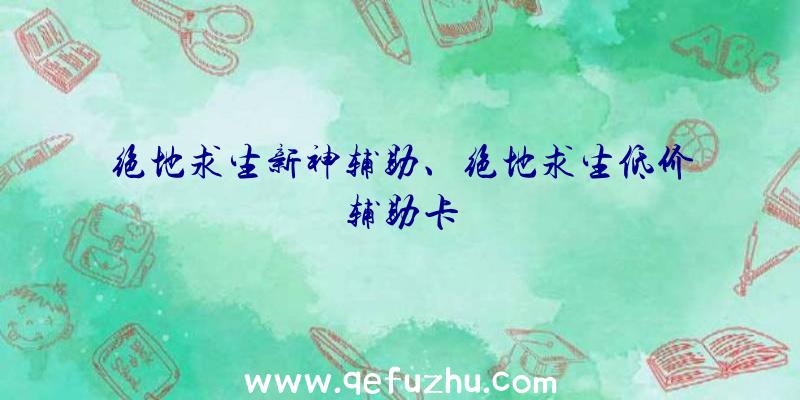 绝地求生新神辅助、绝地求生低价辅助卡