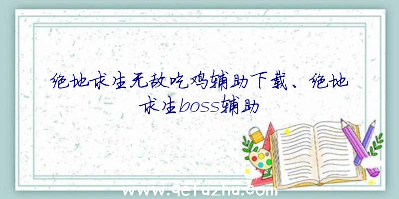 绝地求生无敌吃鸡辅助下载、绝地求生boss辅助