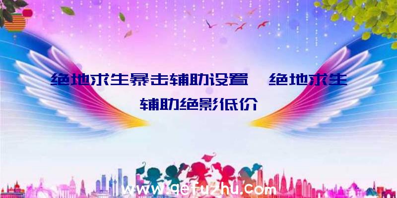 绝地求生暴击辅助设置、绝地求生辅助绝影低价