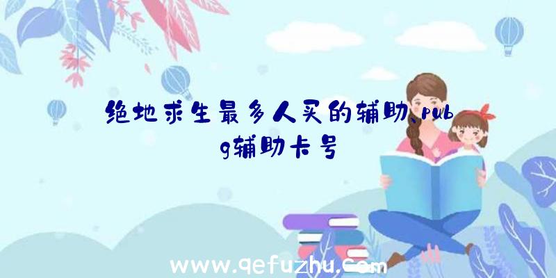 绝地求生最多人买的辅助、pubg辅助卡号