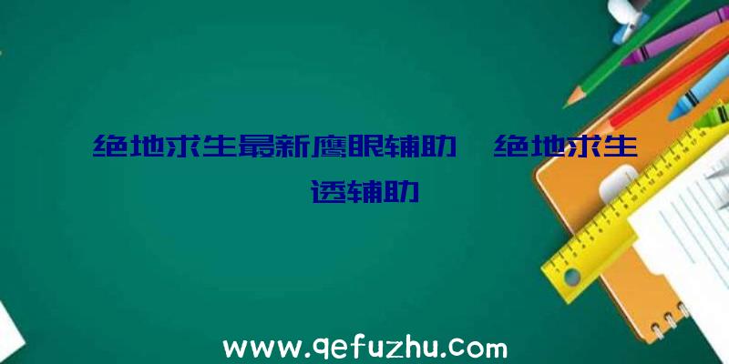 绝地求生最新鹰眼辅助、绝地求生透辅助