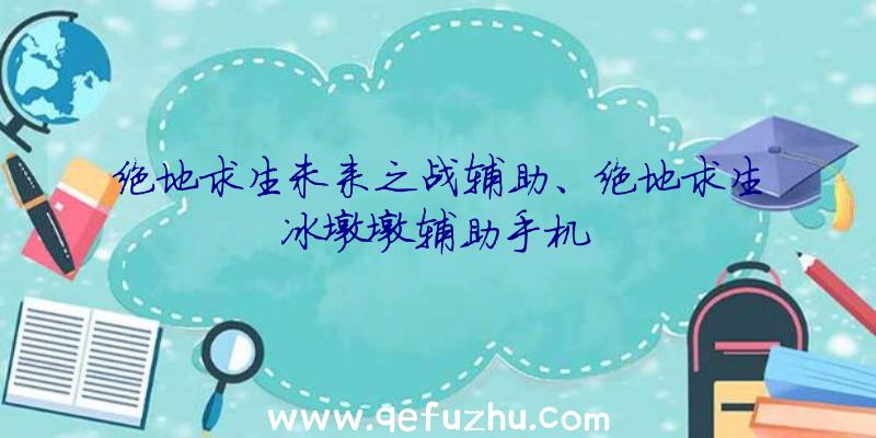 绝地求生未来之战辅助、绝地求生冰墩墩辅助手机