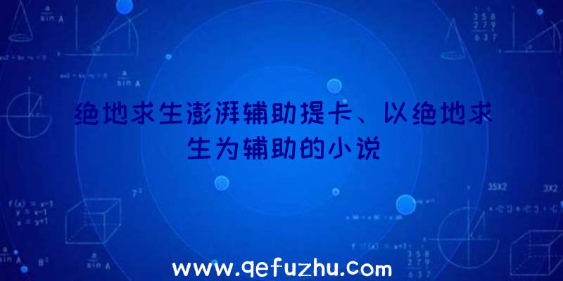 绝地求生澎湃辅助提卡、以绝地求生为辅助的小说