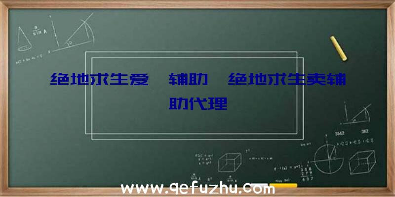 绝地求生爱吾辅助、绝地求生卖辅助代理