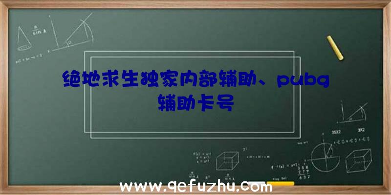 绝地求生独家内部辅助、pubg辅助卡号