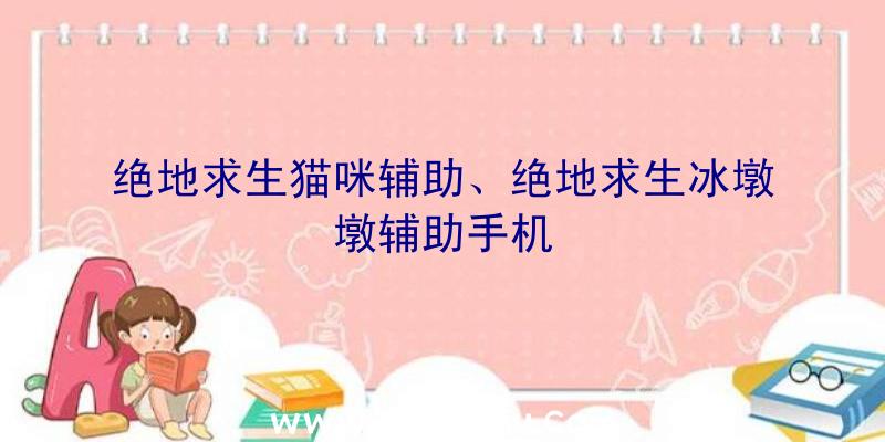 绝地求生猫咪辅助、绝地求生冰墩墩辅助手机