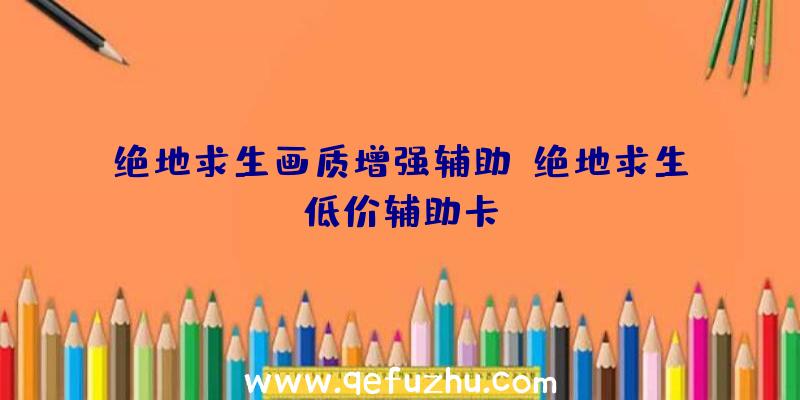 绝地求生画质增强辅助、绝地求生低价辅助卡