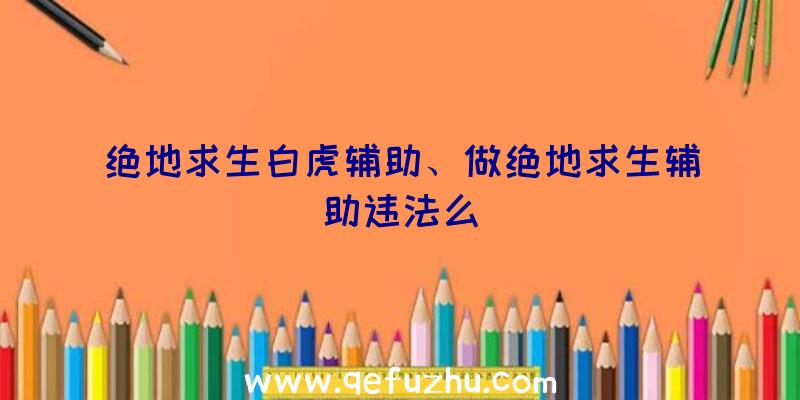 绝地求生白虎辅助、做绝地求生辅助违法么