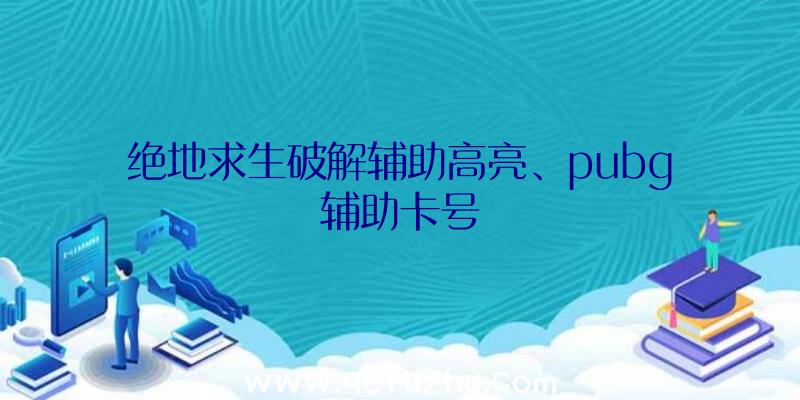 绝地求生破解辅助高亮、pubg辅助卡号