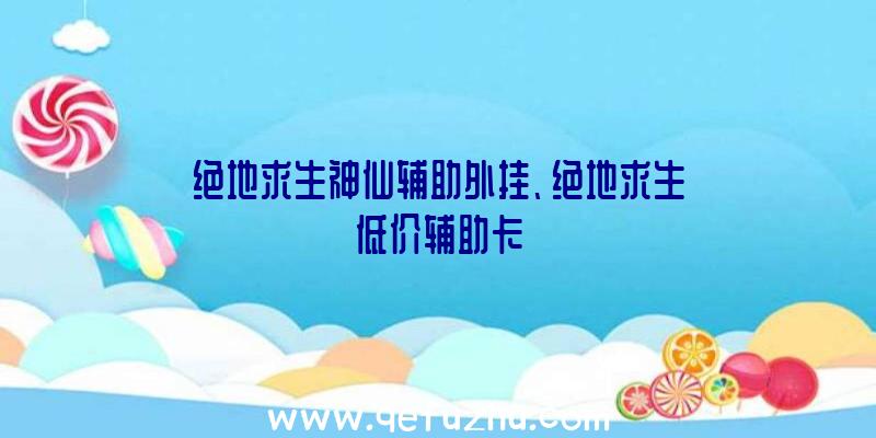 绝地求生神仙辅助外挂、绝地求生低价辅助卡