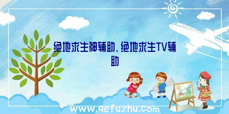 绝地求生神辅助、绝地求生TV辅助