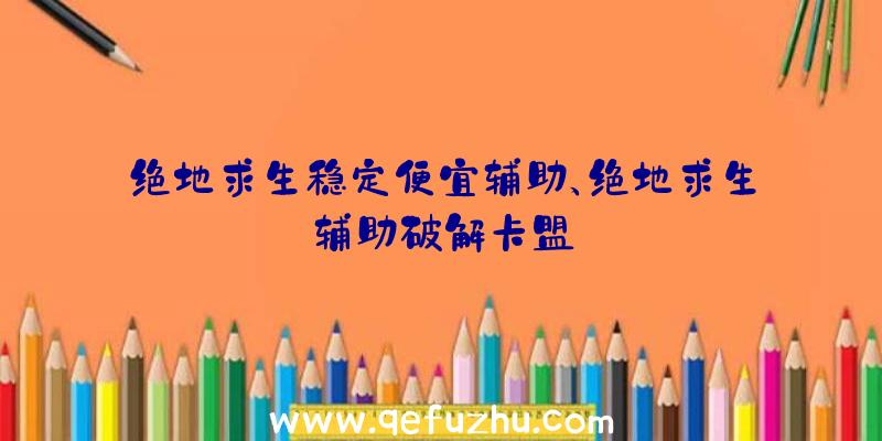 绝地求生稳定便宜辅助、绝地求生辅助破解卡盟