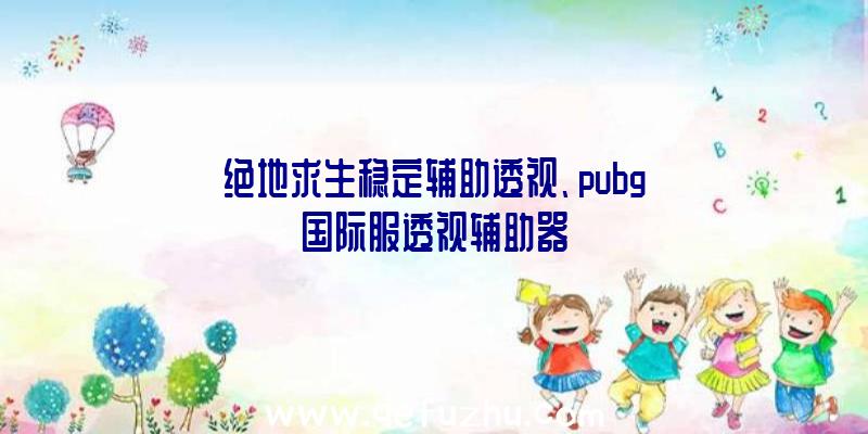 绝地求生稳定辅助透视、pubg国际服透视辅助器