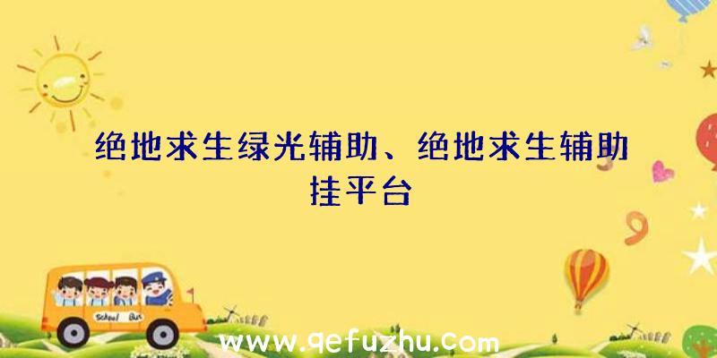 绝地求生绿光辅助、绝地求生辅助挂平台