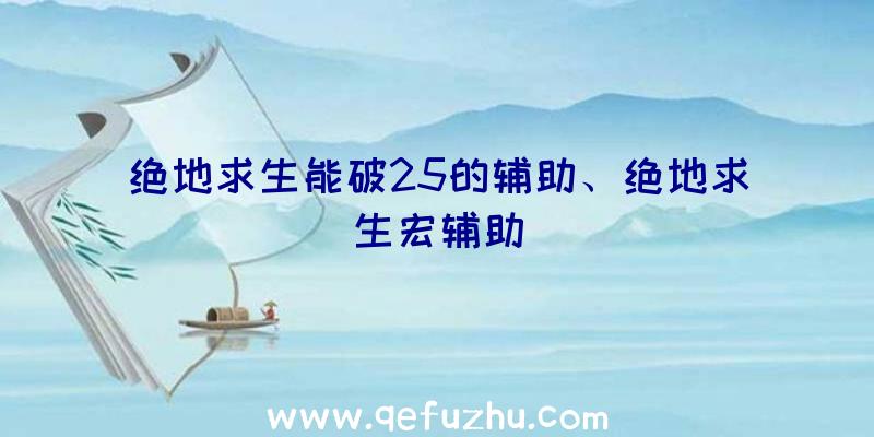 绝地求生能破25的辅助、绝地求生宏辅助