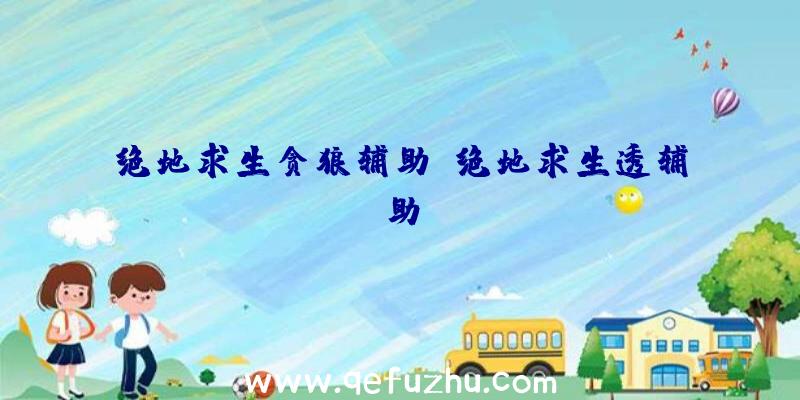 绝地求生贪狼辅助、绝地求生透辅助